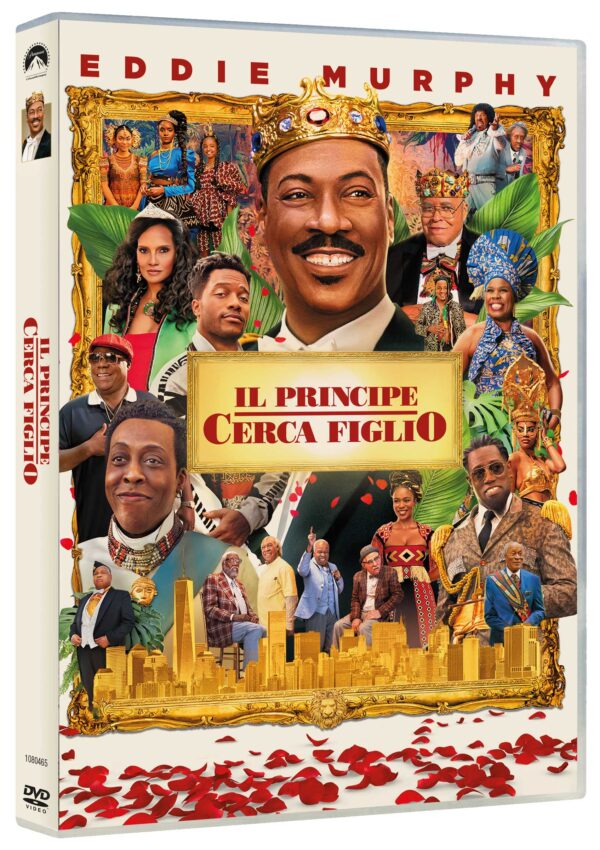 DVD: Il Principe Cerca Figlio